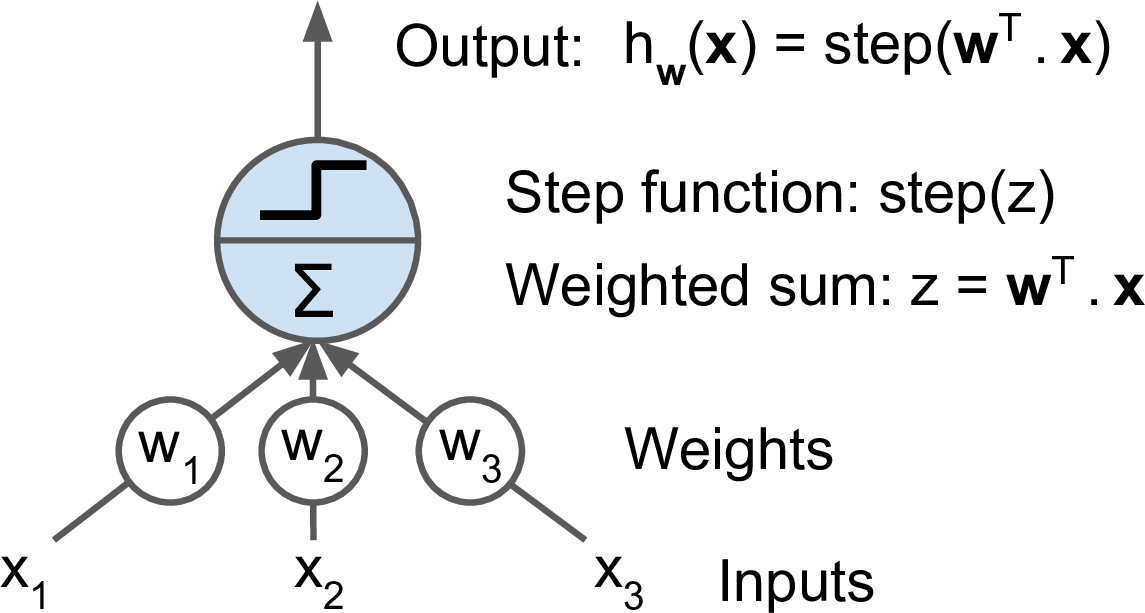 Single Neuron