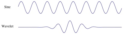 Fourier and Wavelet