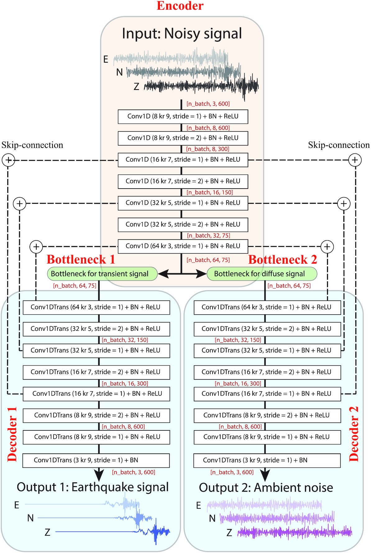 WaveDecompNet